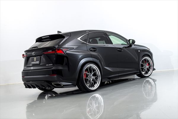 AIMGAIN Sport Lexus NX 300 (F Sport) Complete Body kit