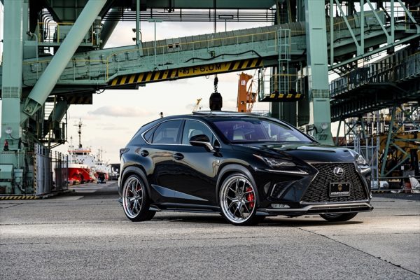 AIMGAIN Sport Lexus NX 300 (F Sport) Complete Body kit