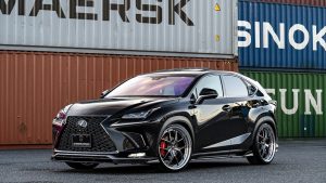 AIMGAIN Sport Lexus NX 300 (F Sport) Complete Body kit