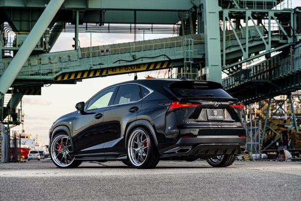 AIMGAIN Sport Lexus NX 300 (F Sport) Complete Body kit