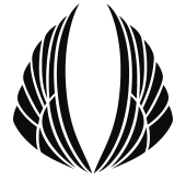 AIMGAIN Shop | Body Kits, Aero, Exhaust, Wheels & Performance Parts